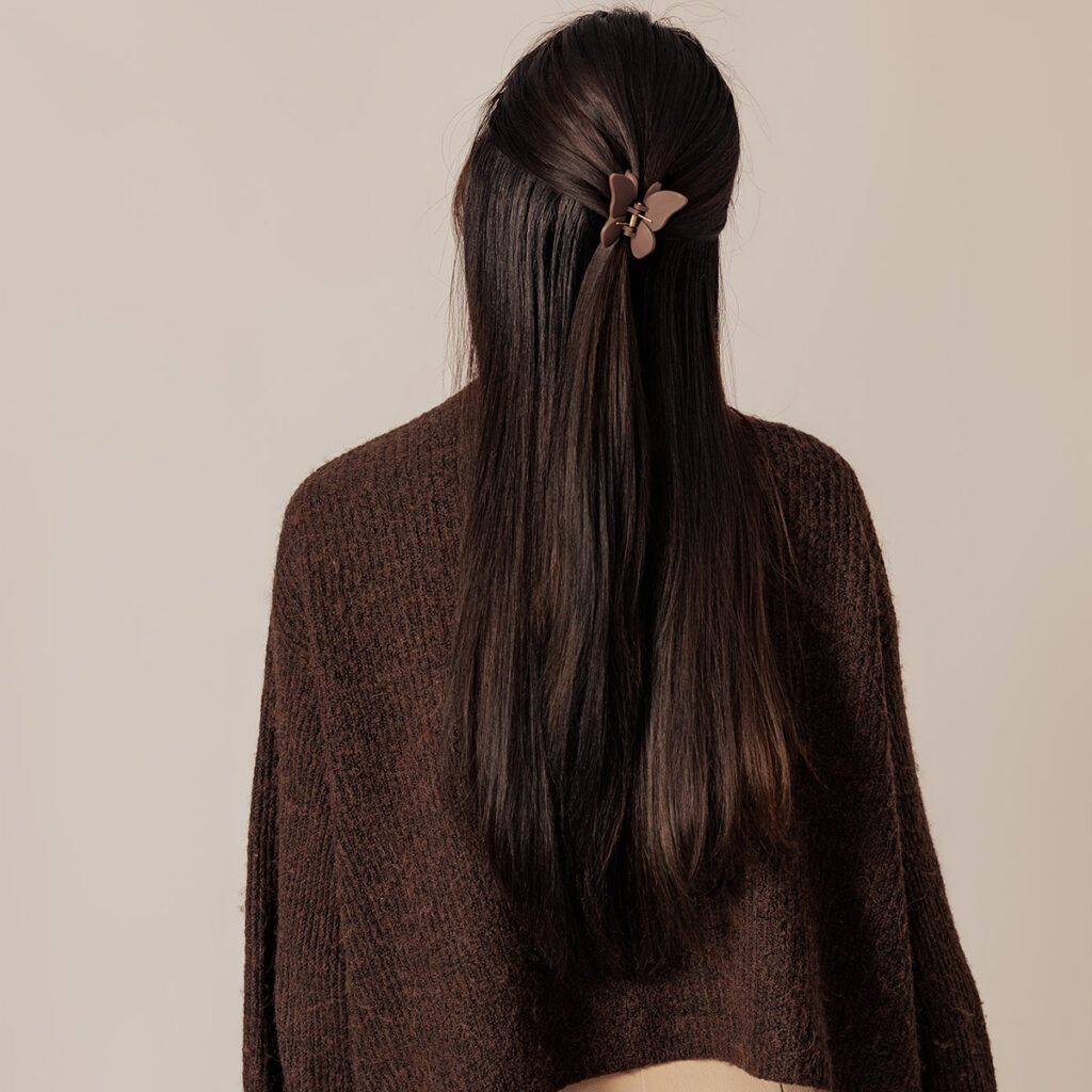 Chokladbrun-fjäril-1